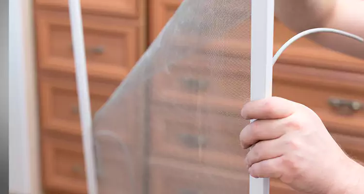 Privacy Mesh Screen Door Installation in Pleasant Hill, CA