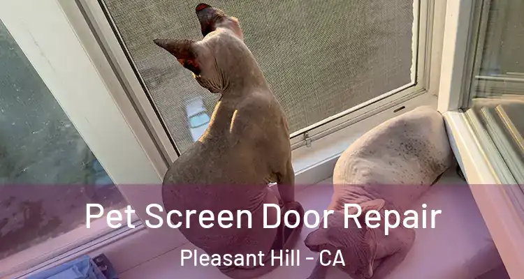  Pet Screen Door Repair Pleasant Hill - CA