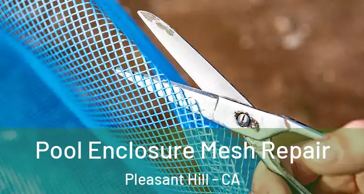  Pool Enclosure Mesh Repair Pleasant Hill - CA