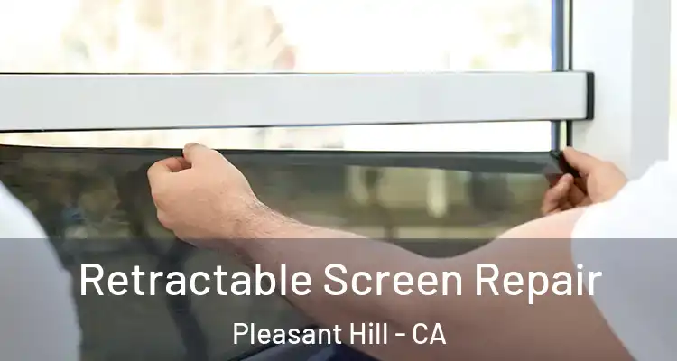  Retractable Screen Repair Pleasant Hill - CA